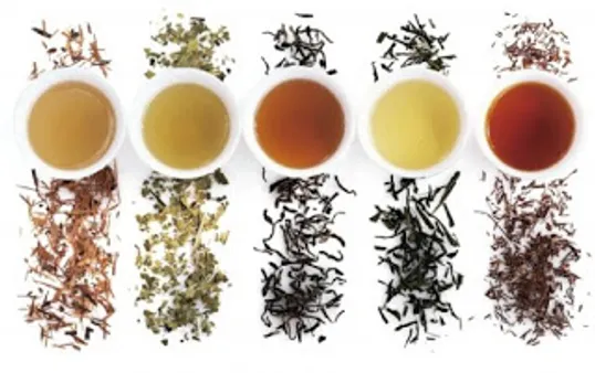 The Evolution of Chinese Tea Production